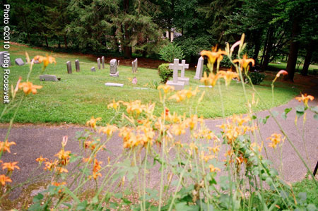 Day lilies in front of a part of the cemetery on a spring day